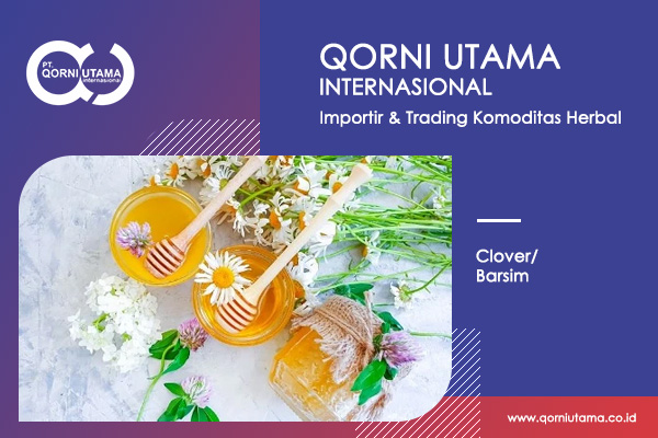 Clover Barsim Clover Barsim